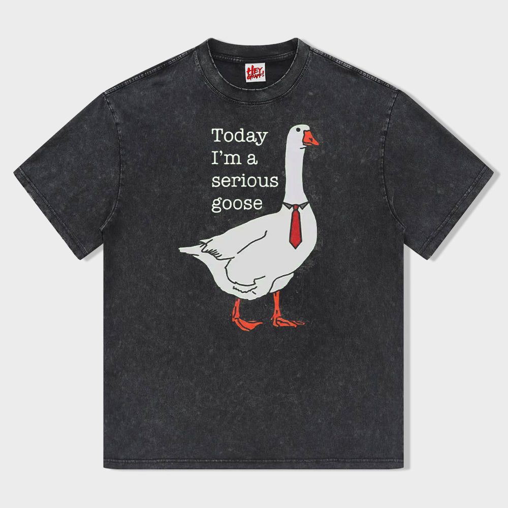 Today I'm A Serious Goose Unisex Shirt - heygraff