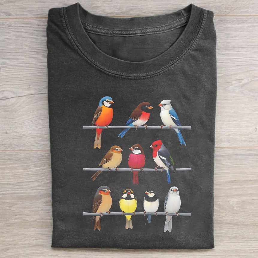 Short Sleeve Black T-Shirt with Colorful Birds on Ladder Print for Casual Wear