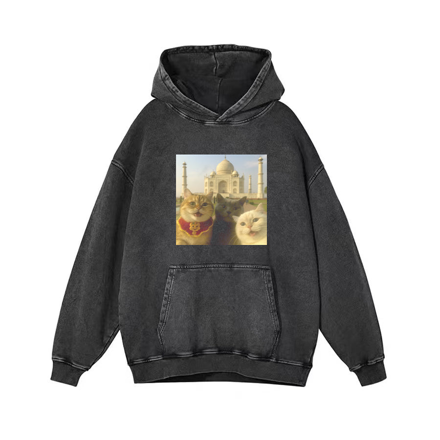 Cat Taking Selfie Taj Mahal Funny T-Shirt