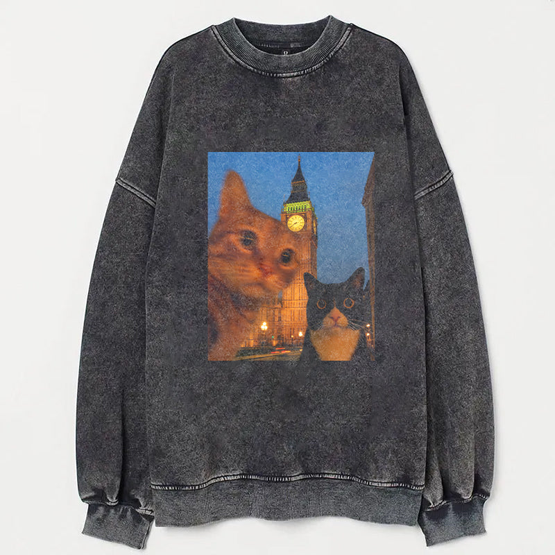 Cat Taking Selfie with Big Ben Funny T-Shirt