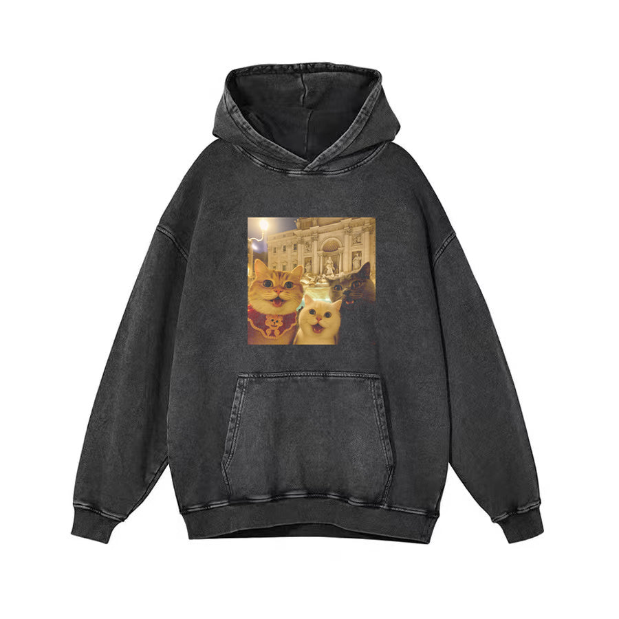 Cat Taking Selfie with Trevi Fountain Funny T-Shirt
