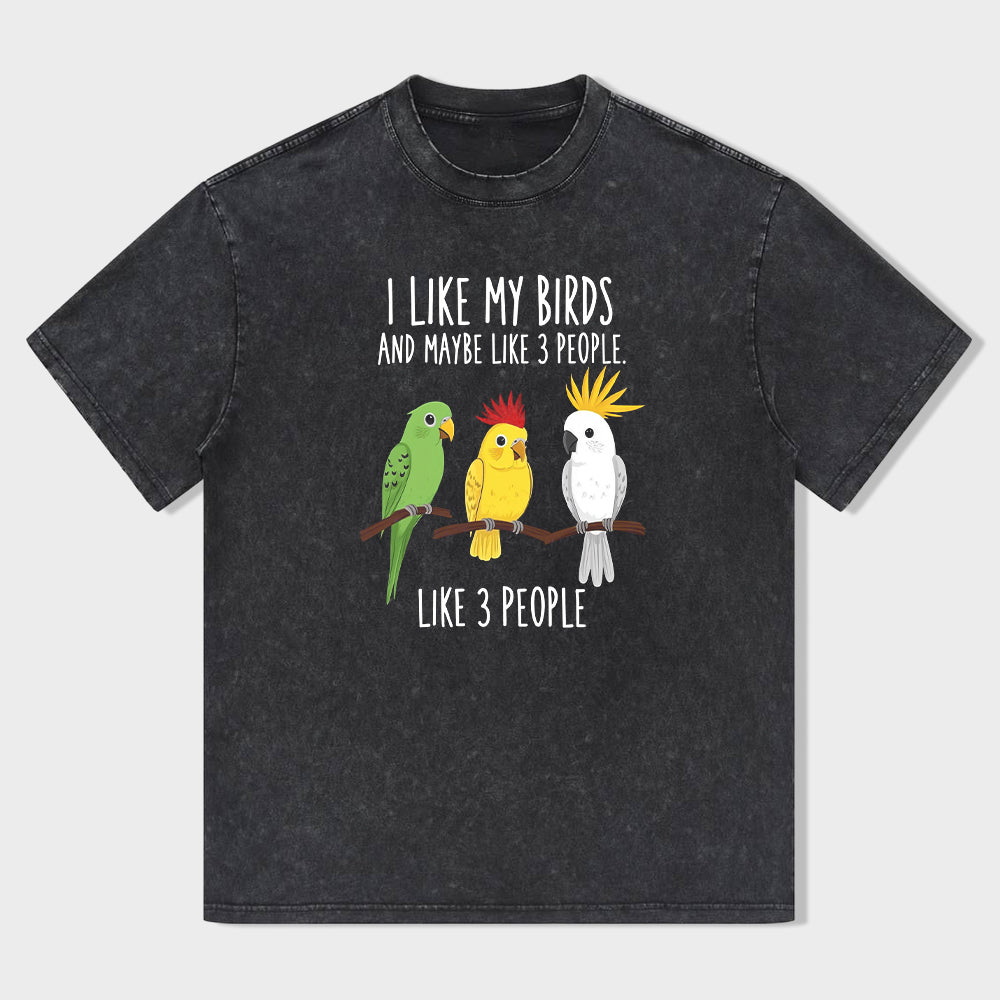 Short Sleeve Black T-Shirt with I Like My Birds and Maybe Like 3 People Print - Casual Wear for Bird Lovers