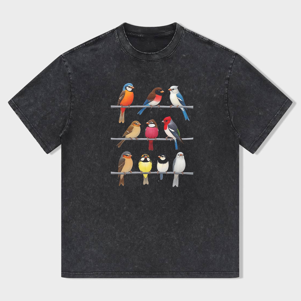 Short Sleeve Black T-Shirt with Colorful Birds on Ladder Print for Casual Wear